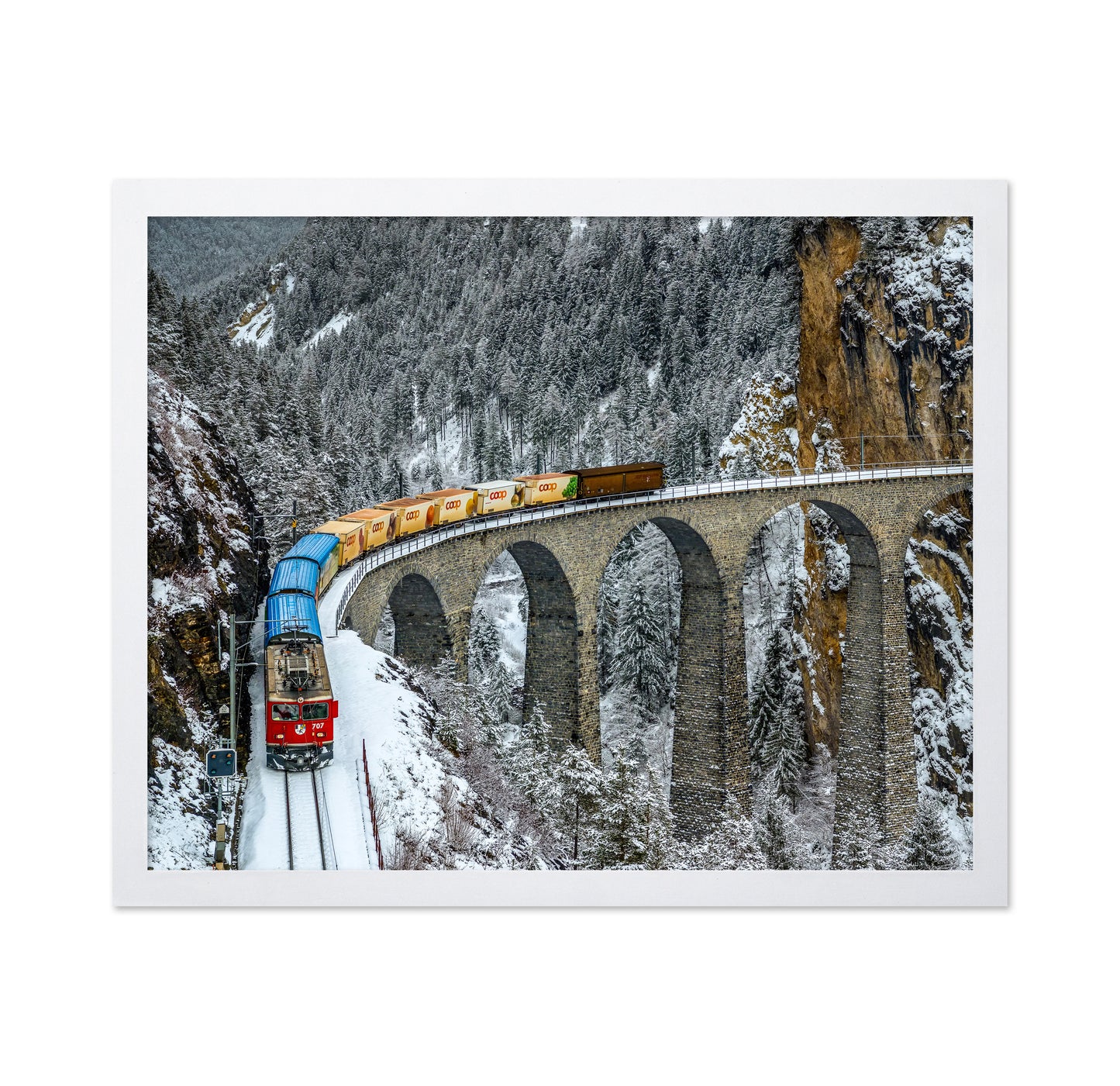 Transalpine