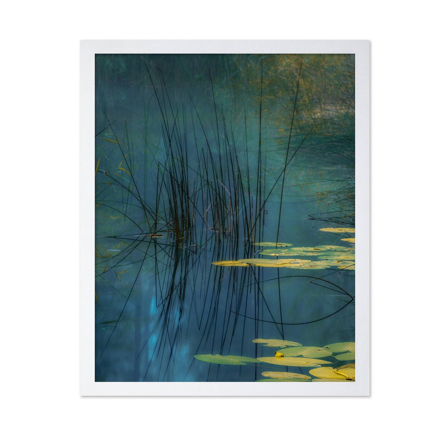 Aqua