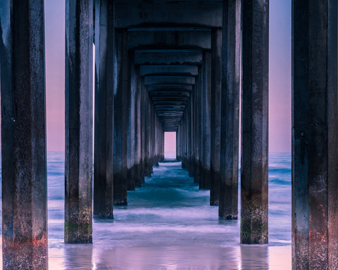 Vista