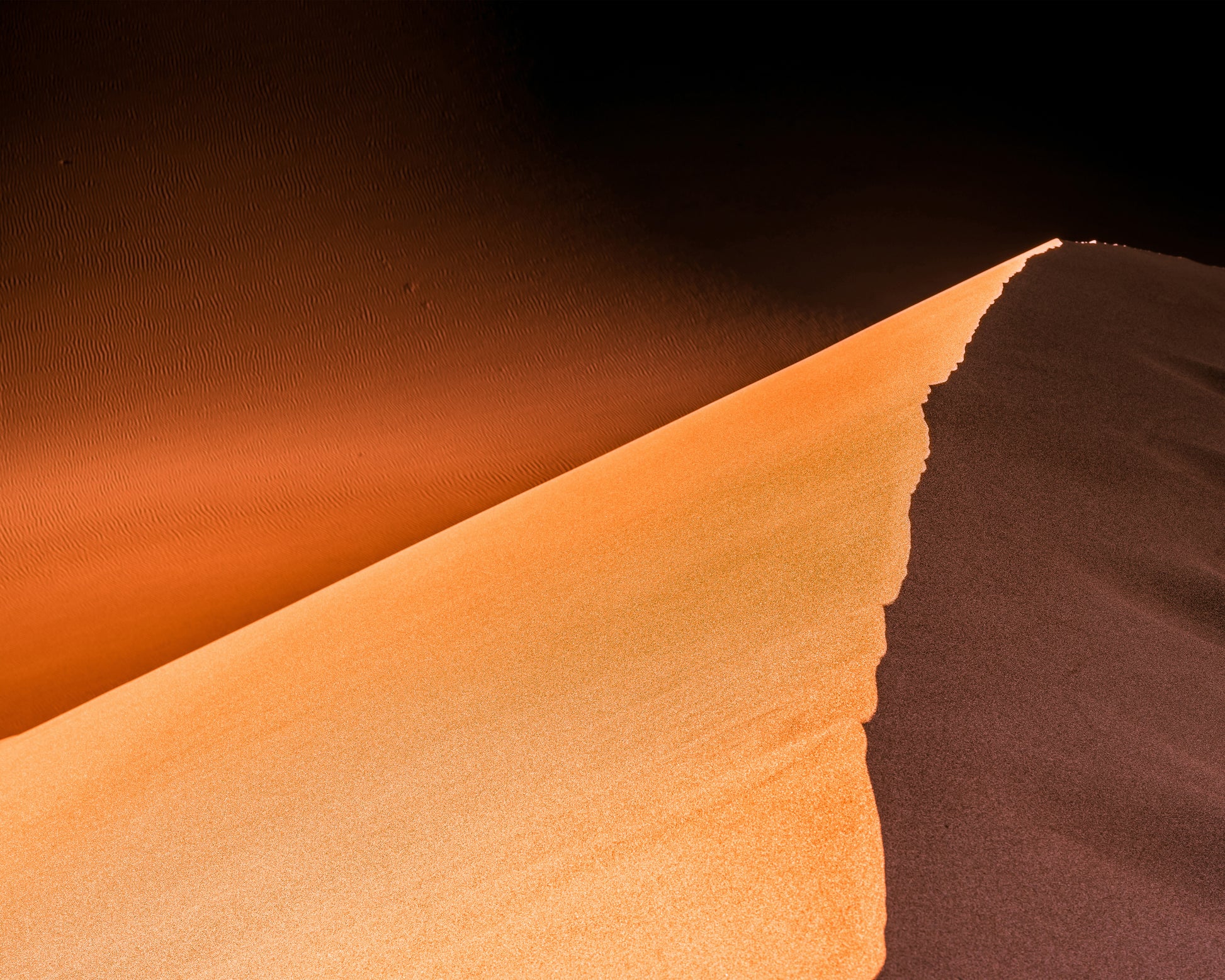 Desert Palette
