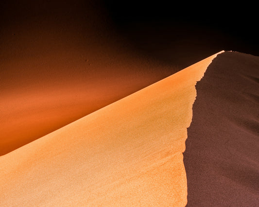 Desert Palette