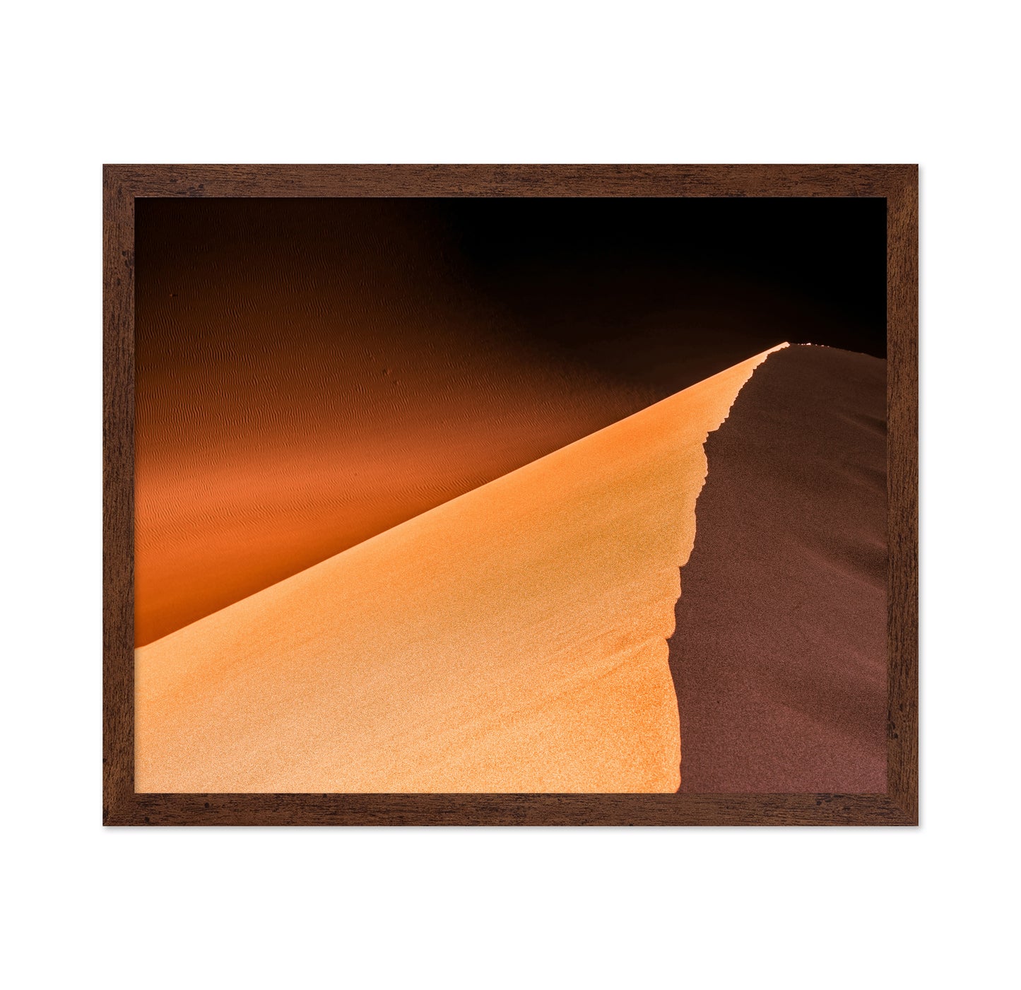 Desert Palette