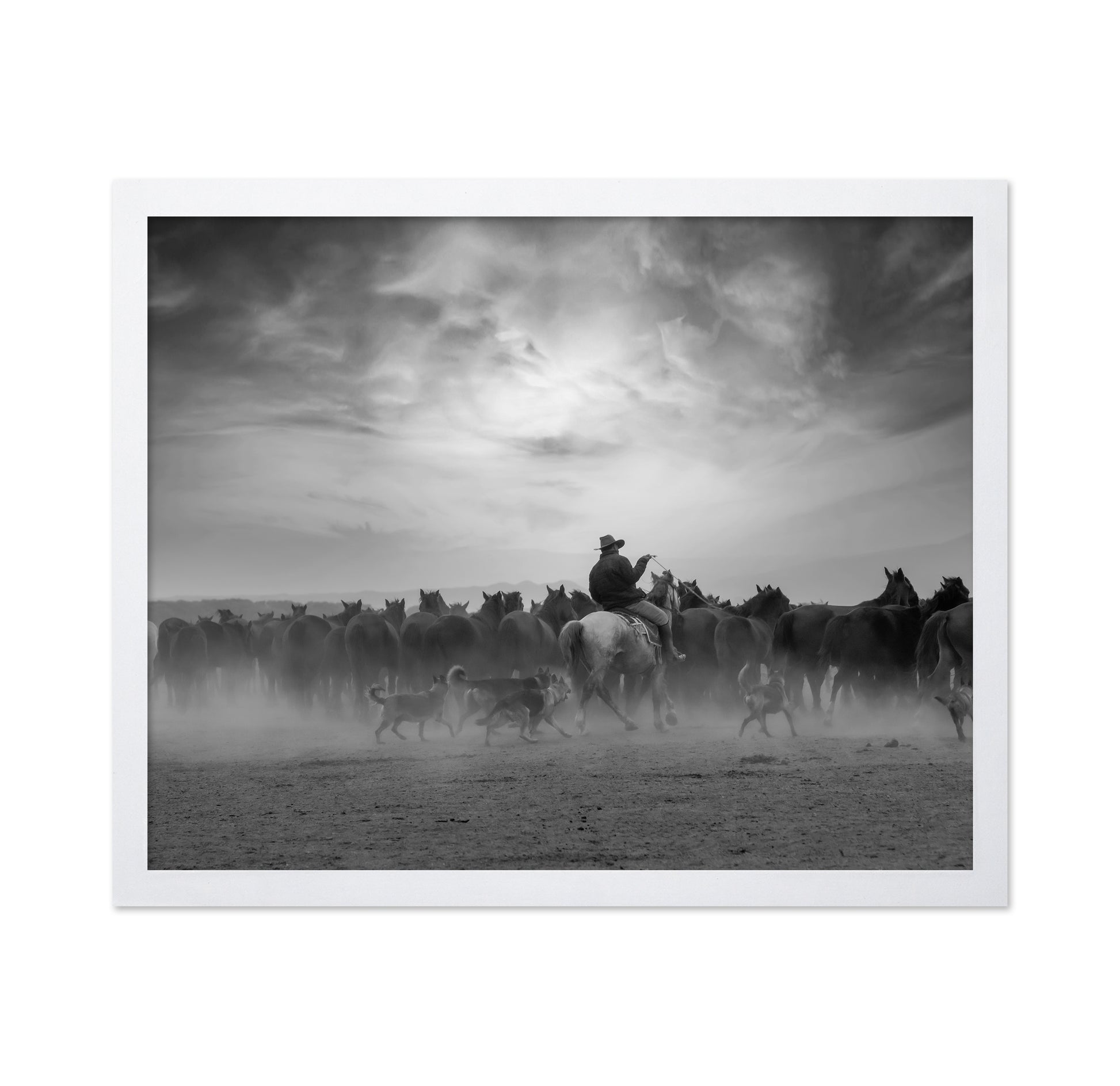Cowboy Riding with Wild Horses