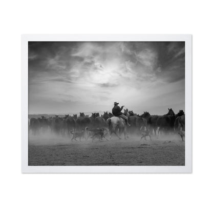 Cowboy Riding with Wild Horses