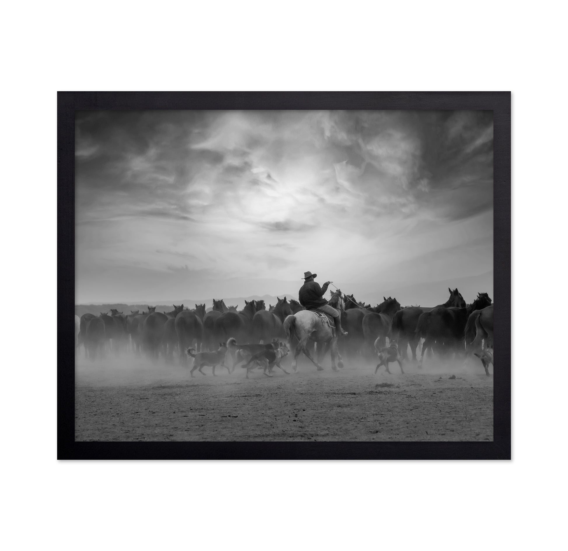 Cowboy Riding with Wild Horses