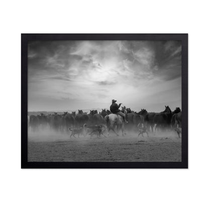 Cowboy Riding with Wild Horses