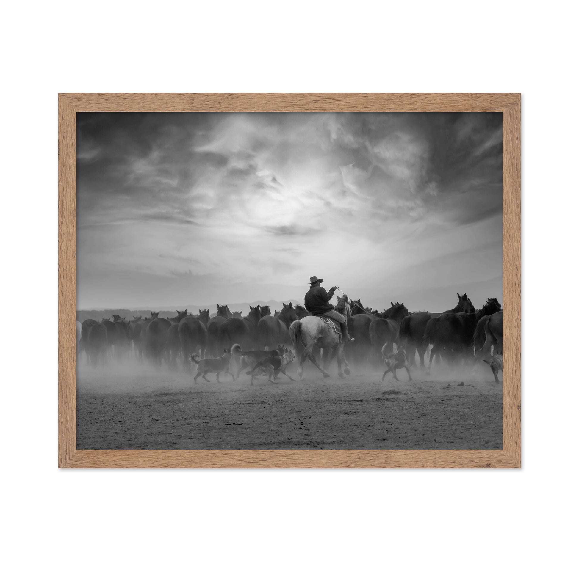 Cowboy Riding with Wild Horses