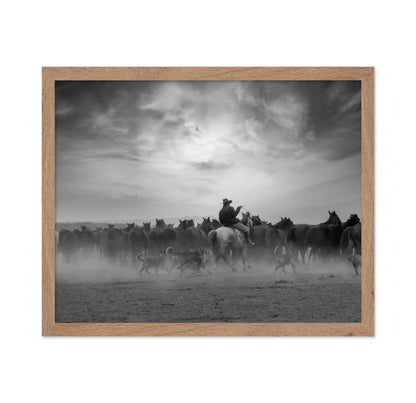 Cowboy Riding with Wild Horses