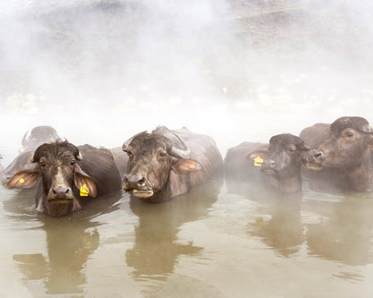 Enjoying Thermal Water in the Snow