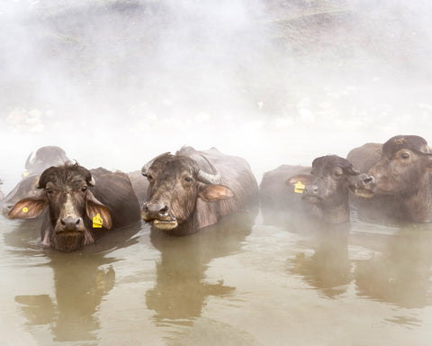 Enjoying Thermal Water in the Snow
