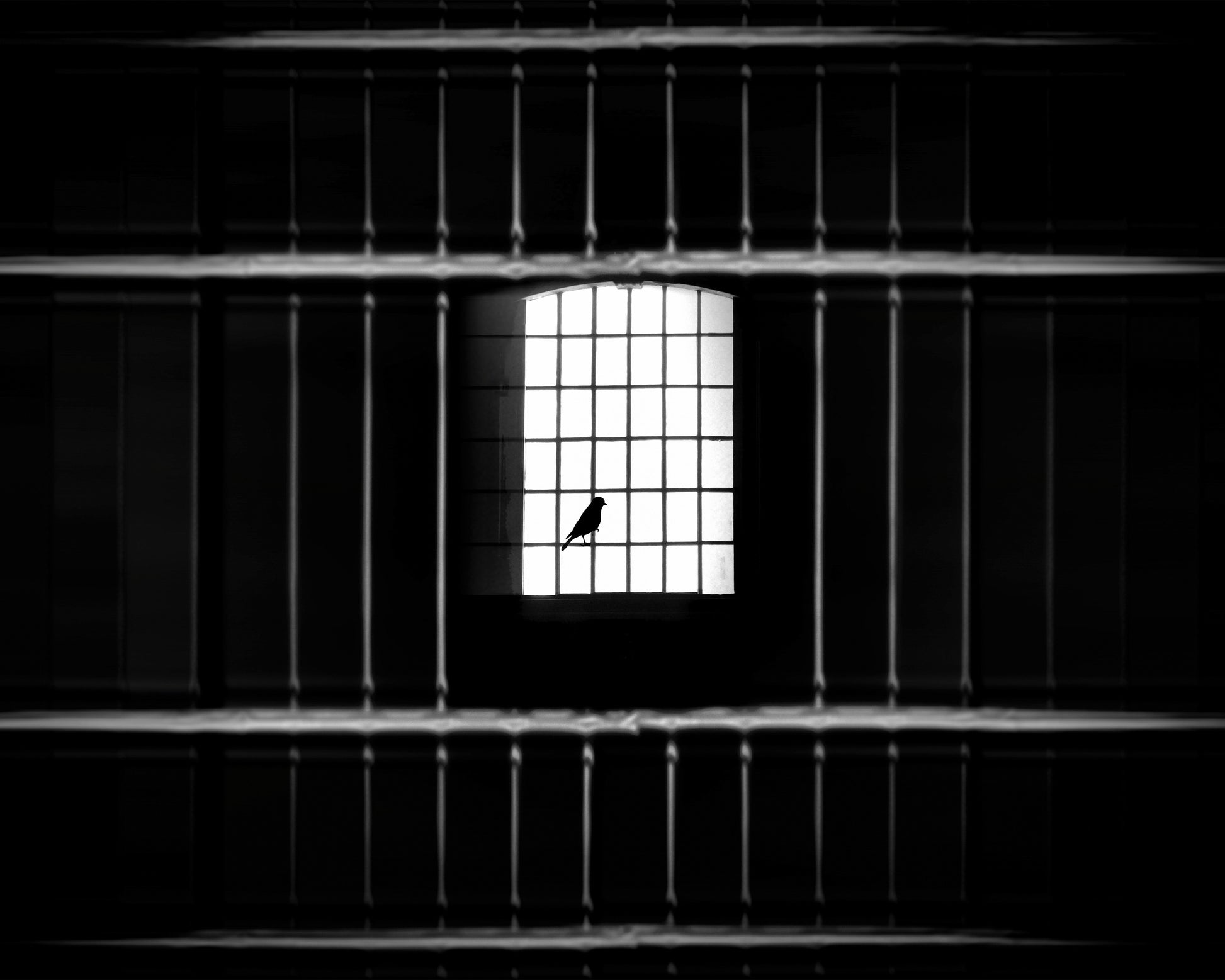 Freedom from Confinement
