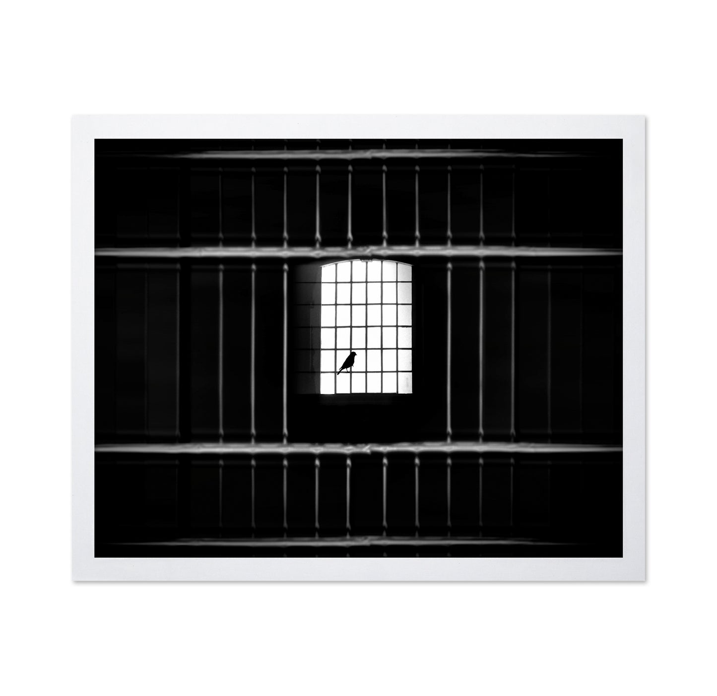 Freedom from Confinement