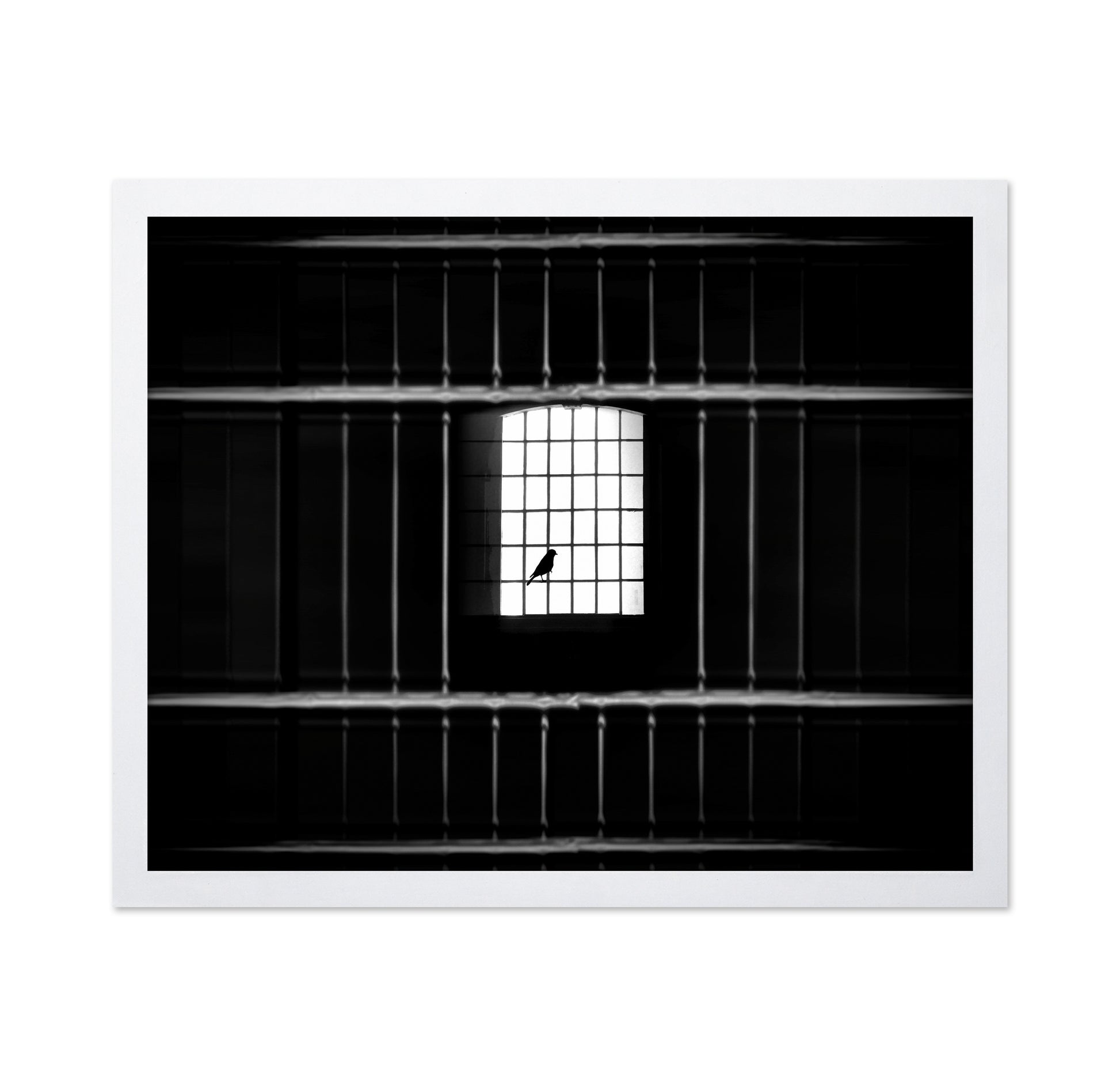 Freedom from Confinement