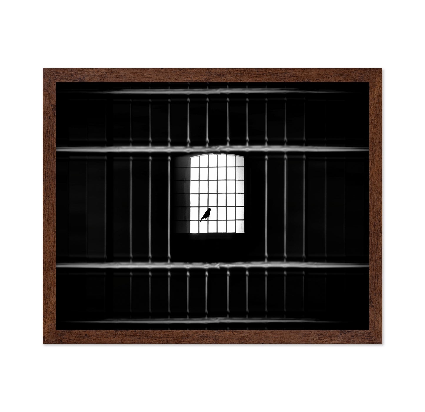 Freedom from Confinement
