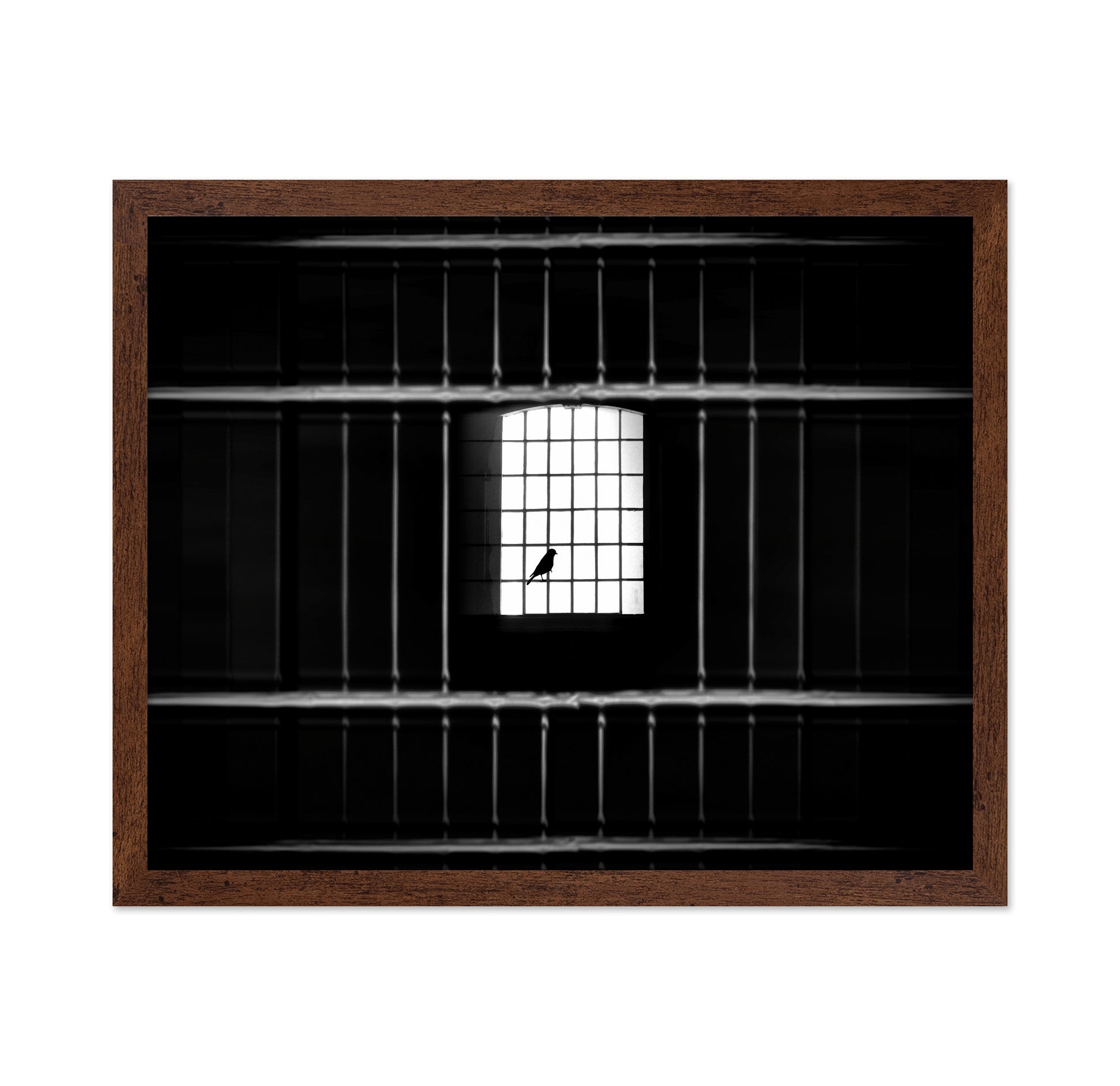 Freedom from Confinement