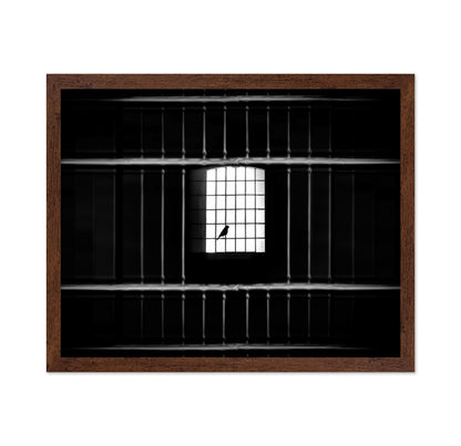 Freedom from Confinement