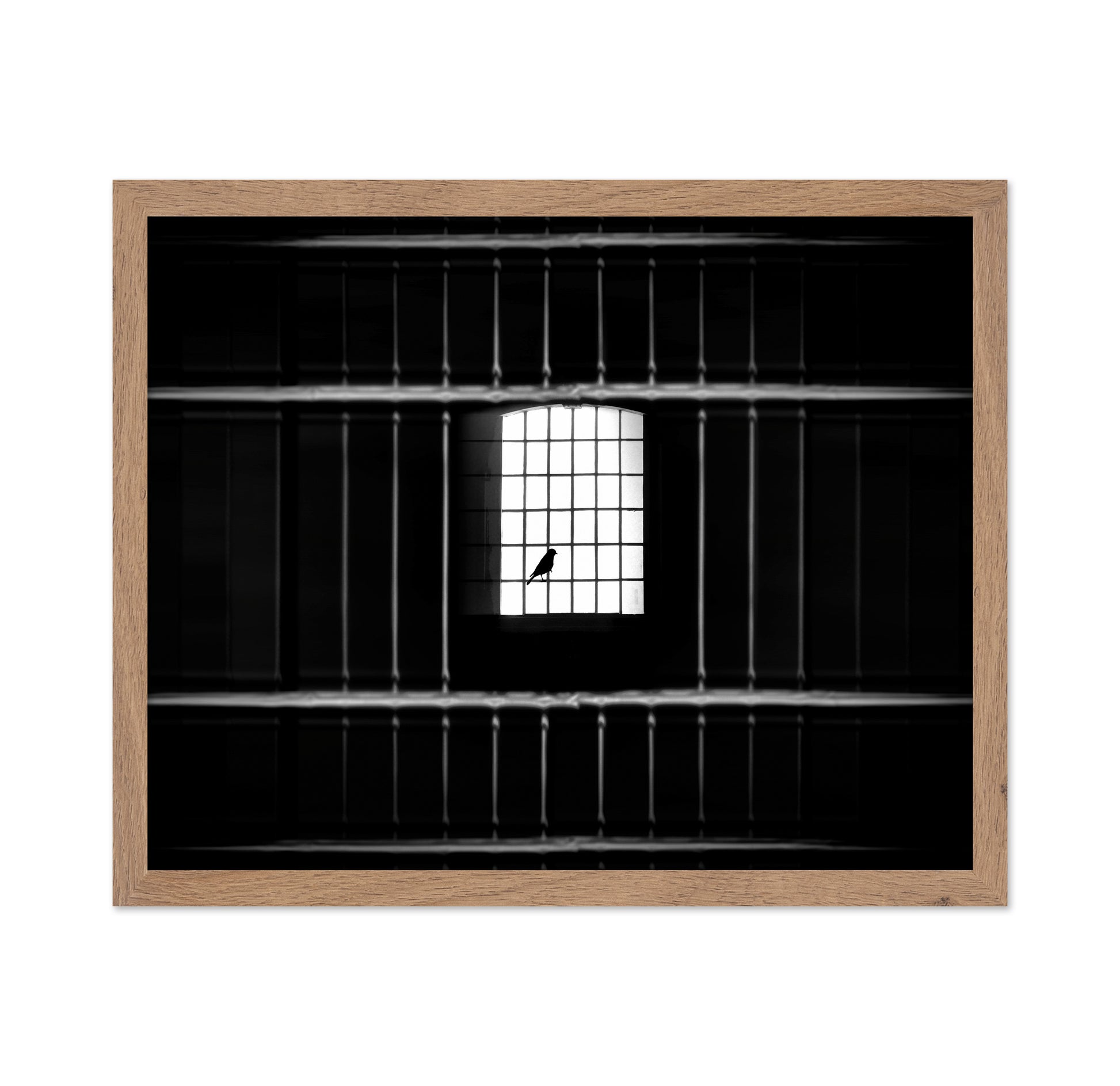 Freedom from Confinement