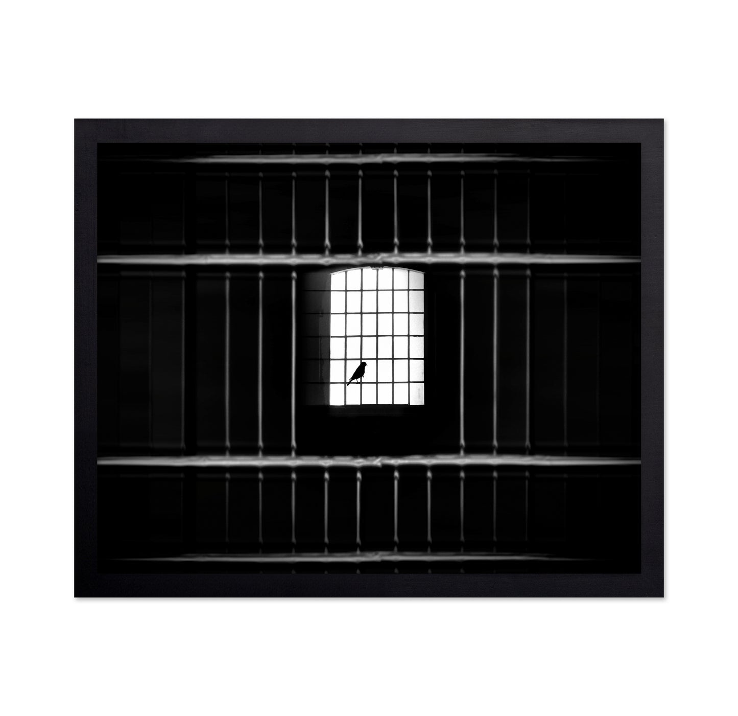 Freedom from Confinement