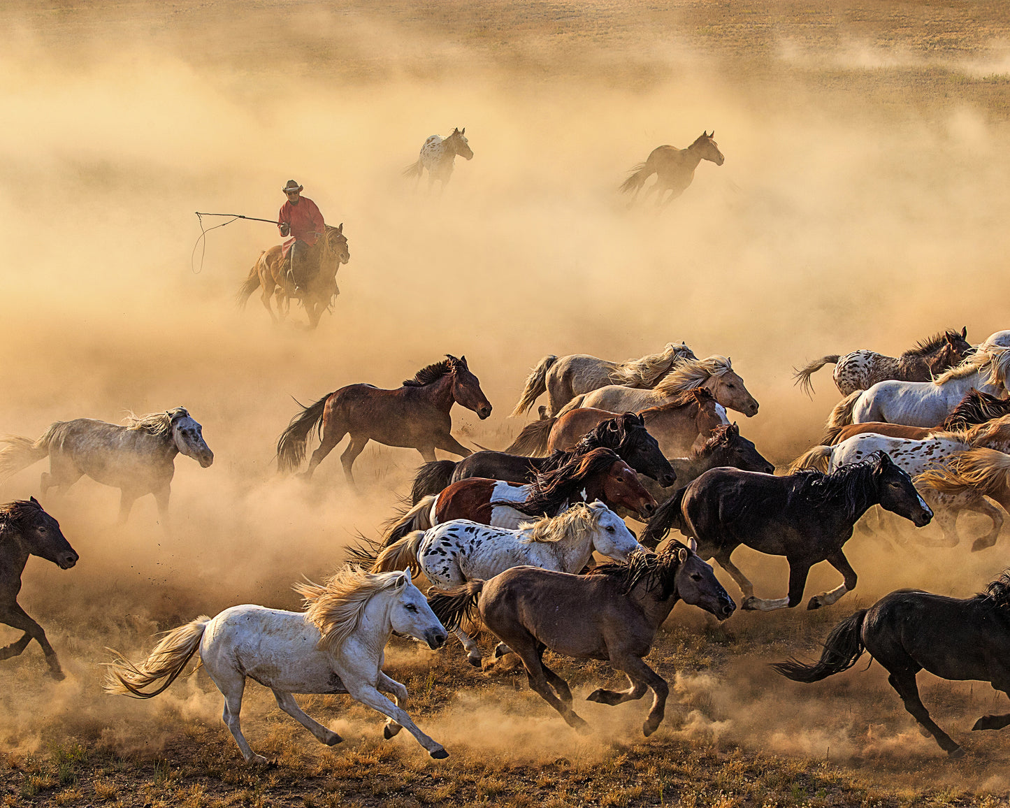 Horse Run