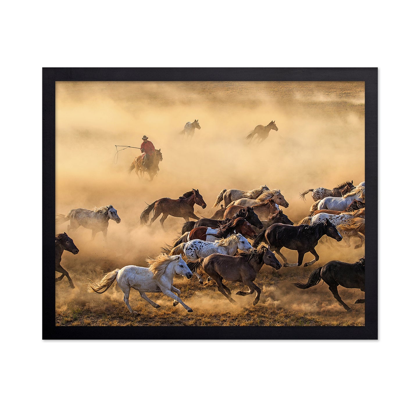 Horse Run