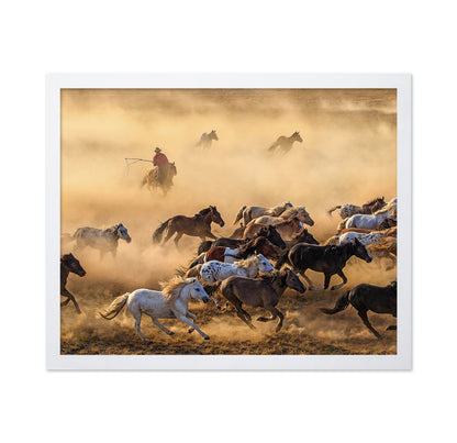Horse Run