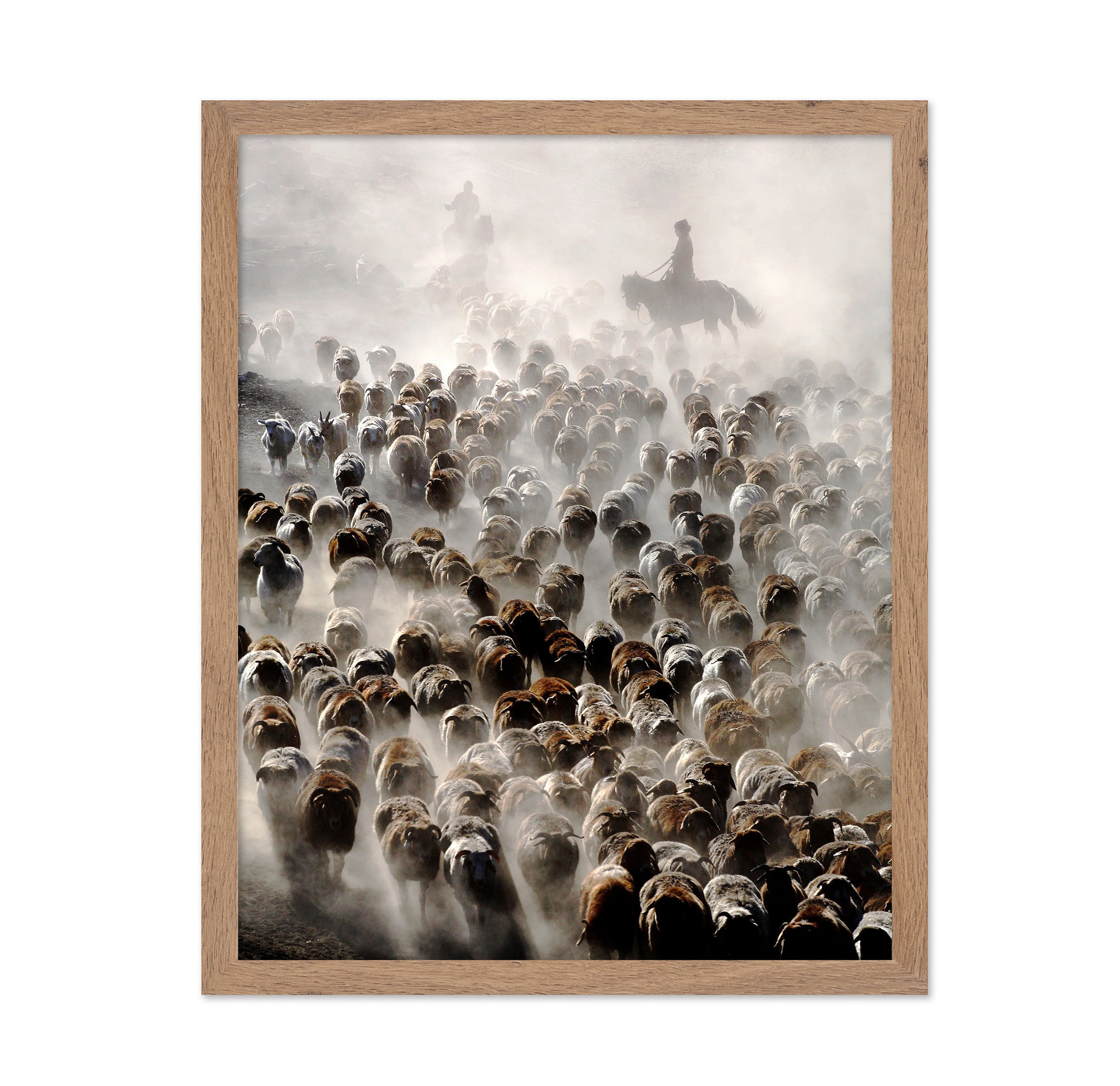 The Great Migration of China