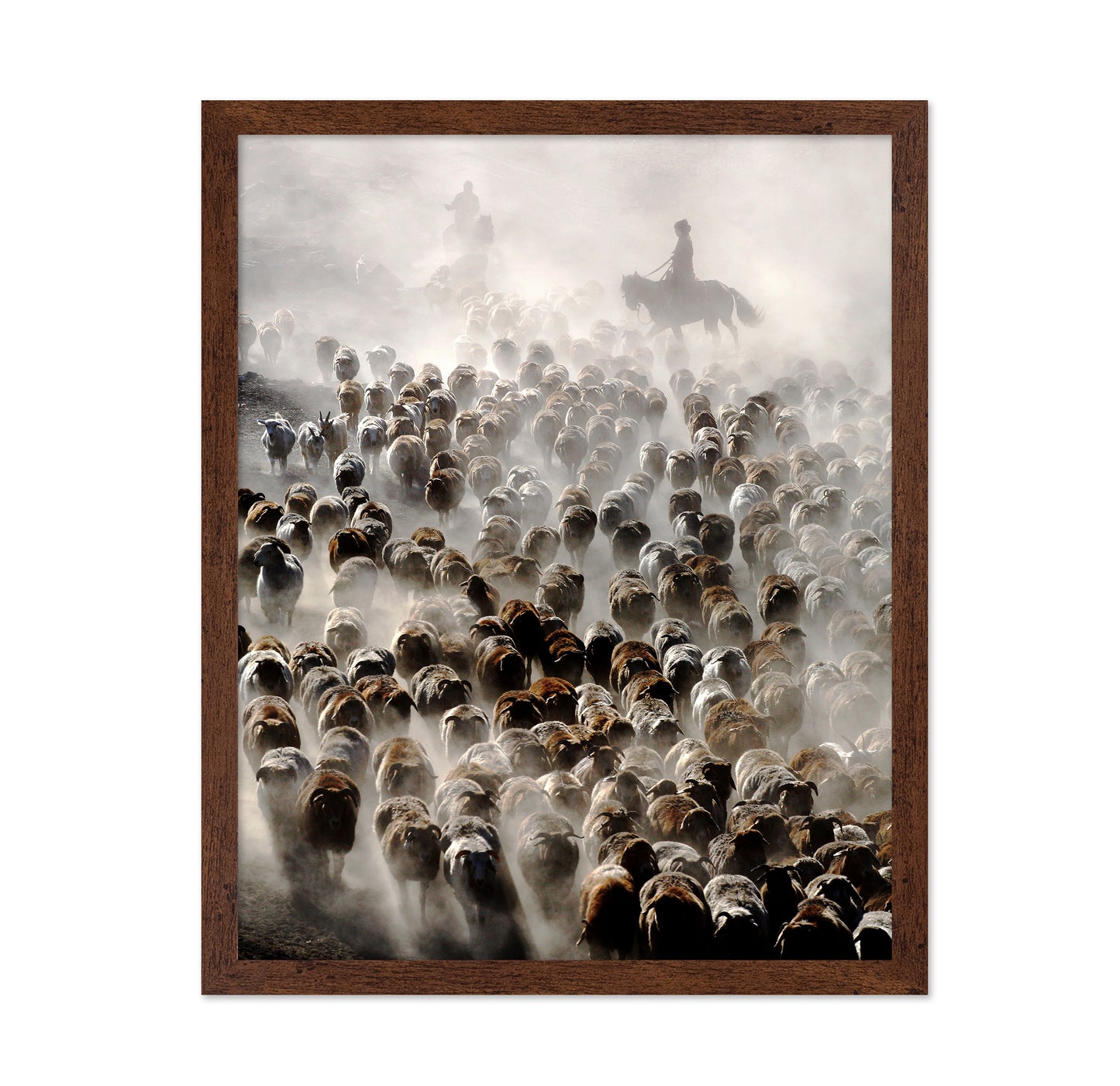 The Great Migration of China