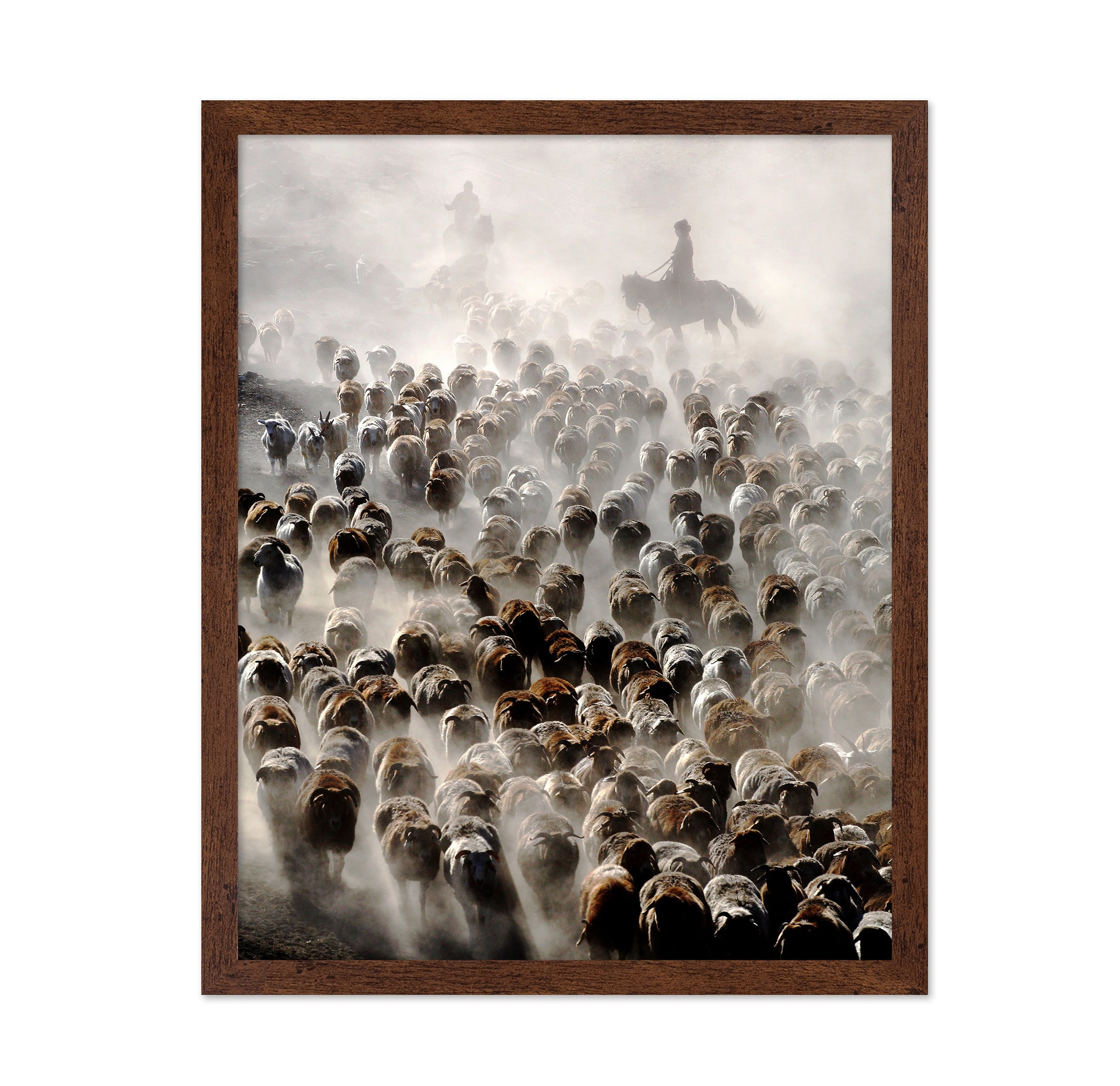 The Great Migration of China