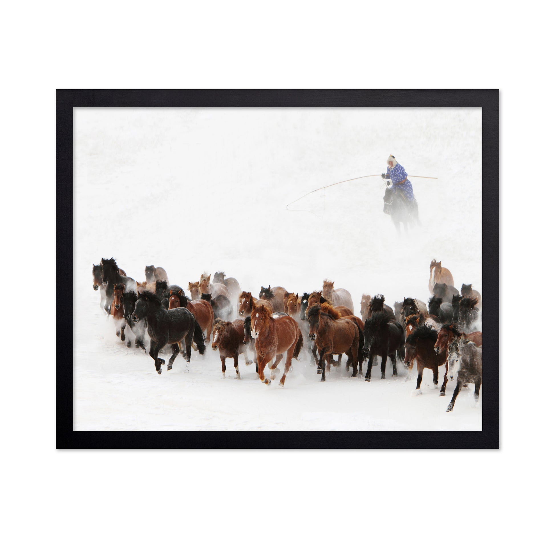 Horse Run In The Snow