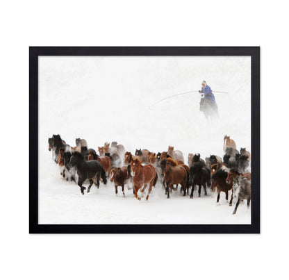 Horse Run In The Snow