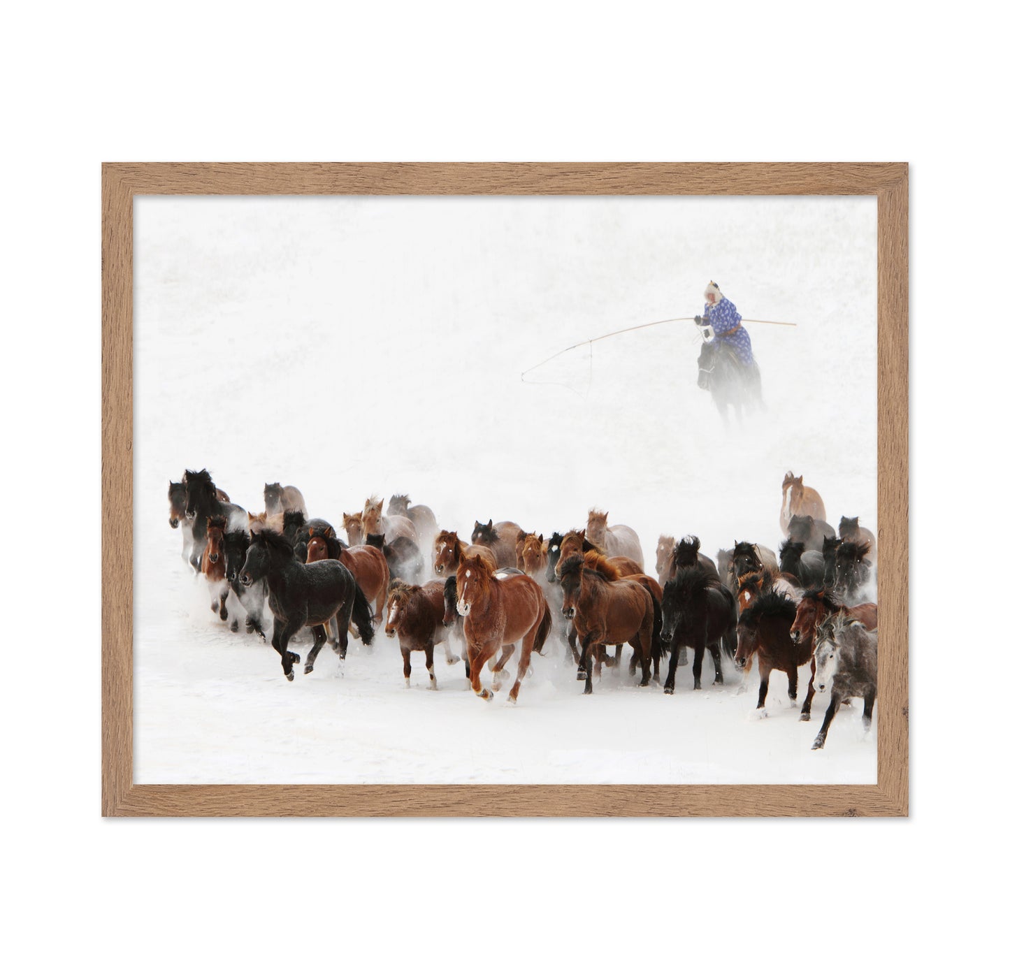 Horse Run In The Snow