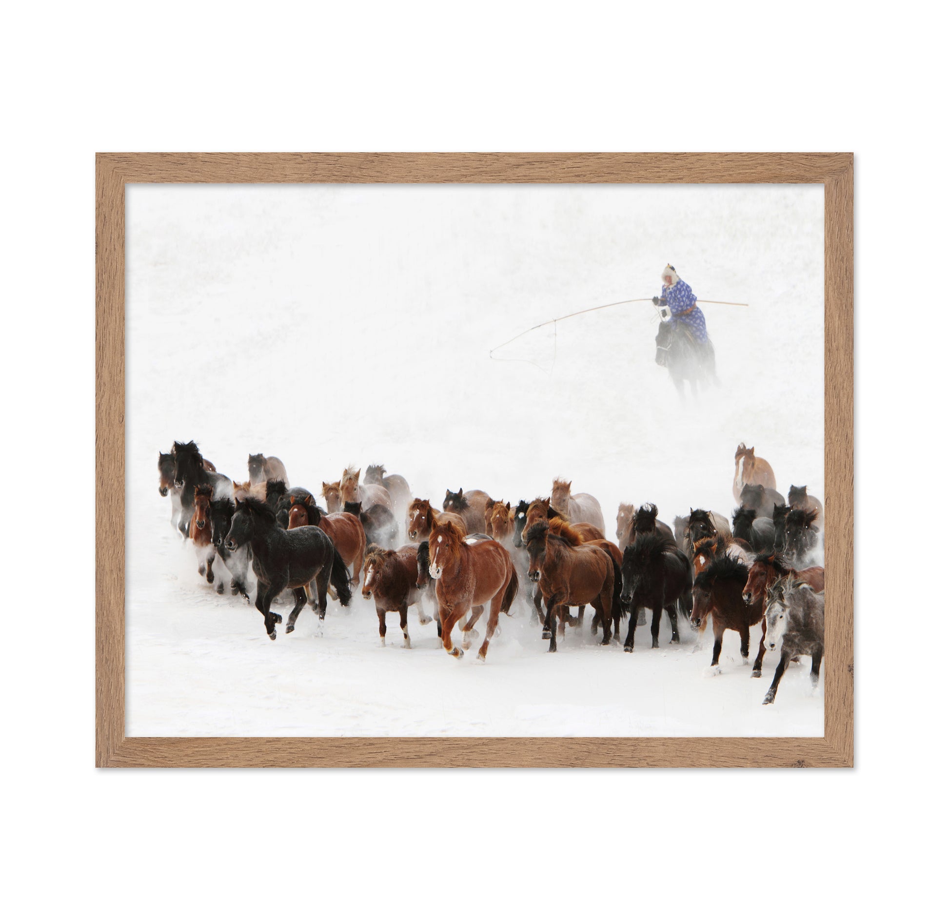 Horse Run In The Snow