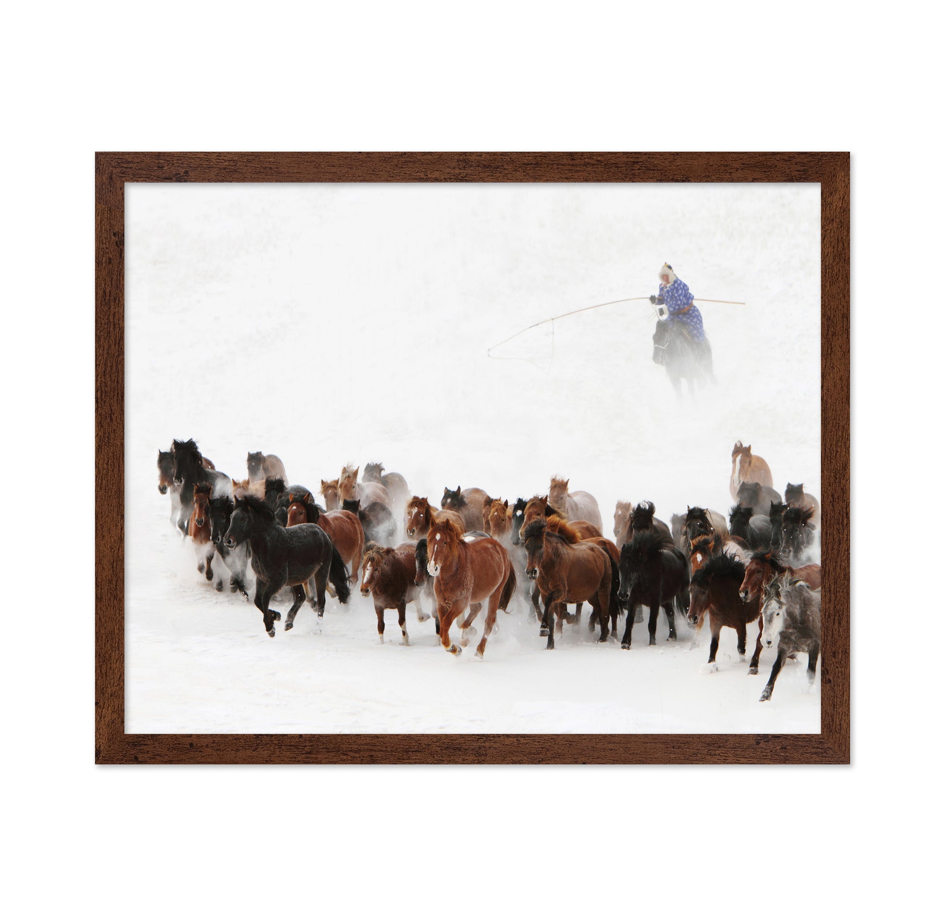Horse Run In The Snow