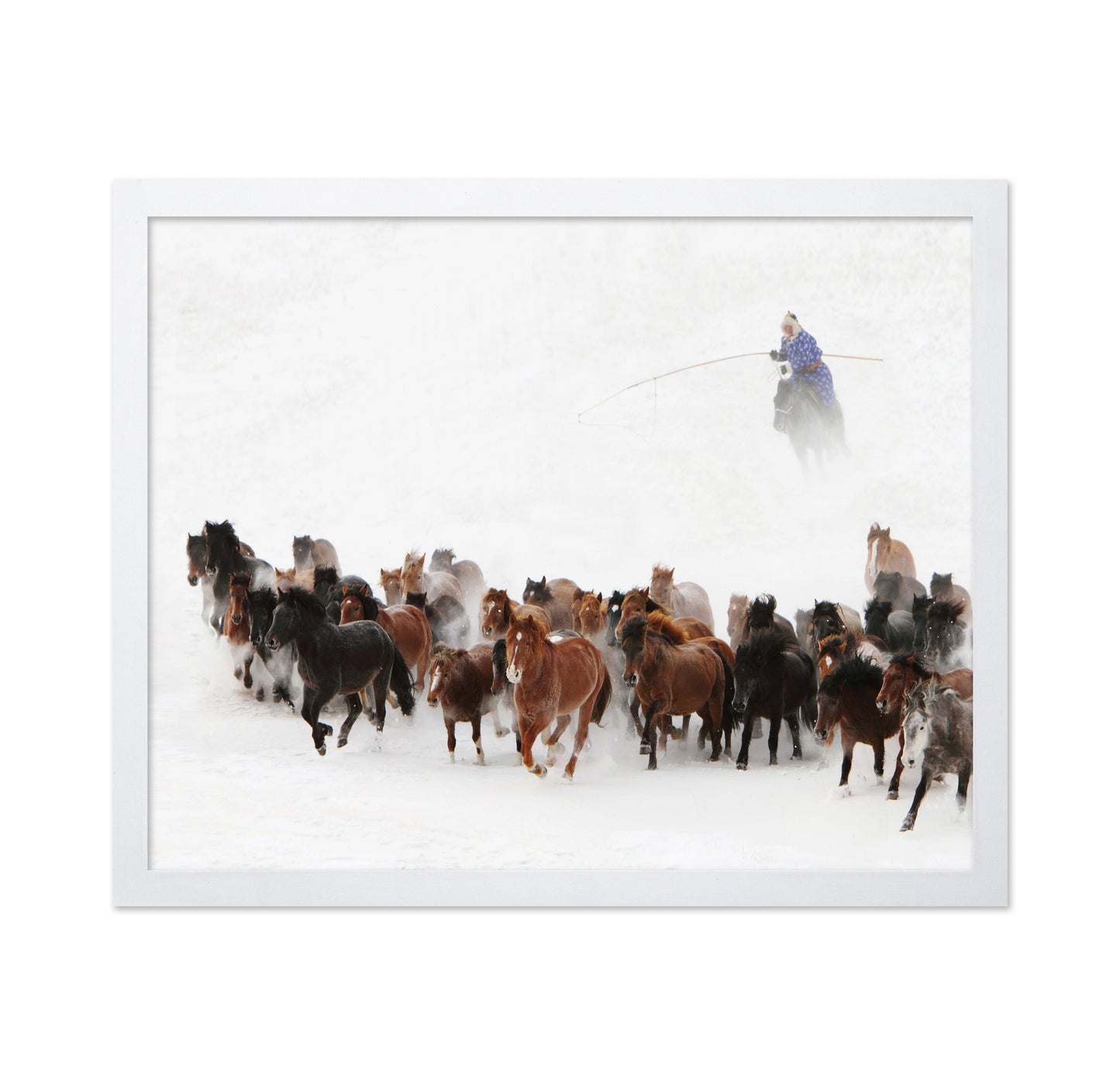 Horse Run In The Snow