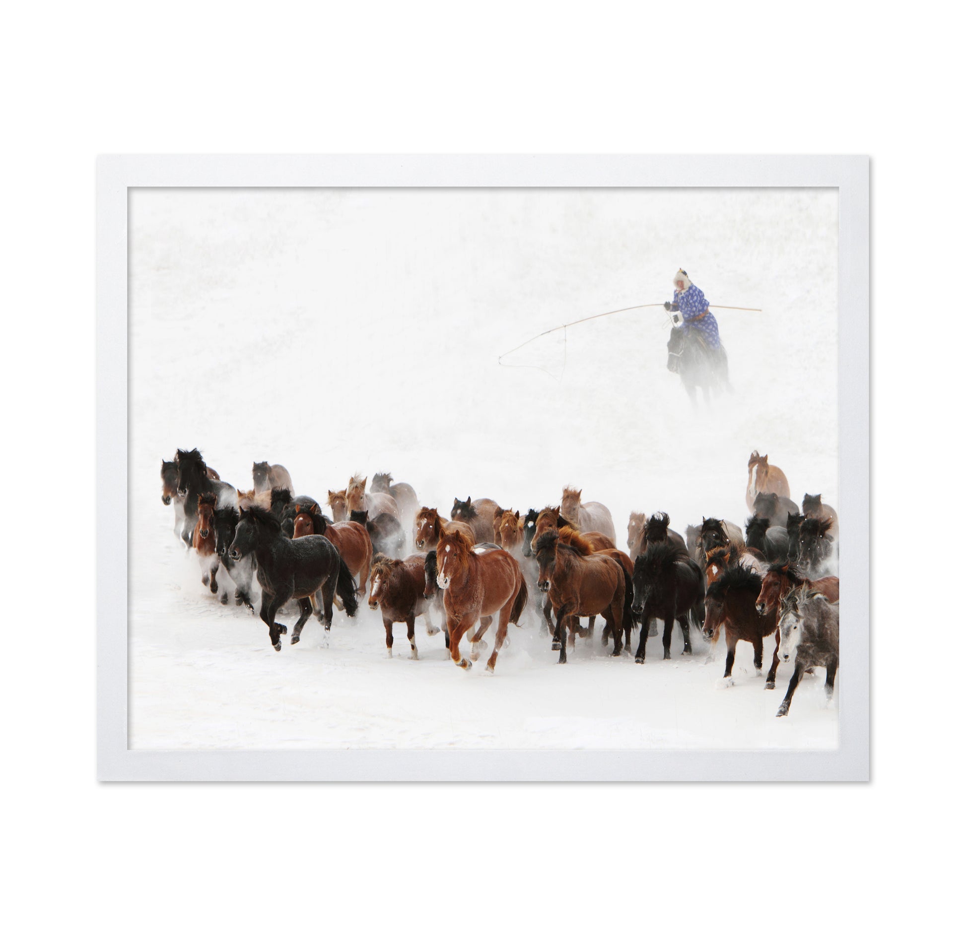 Horse Run In The Snow