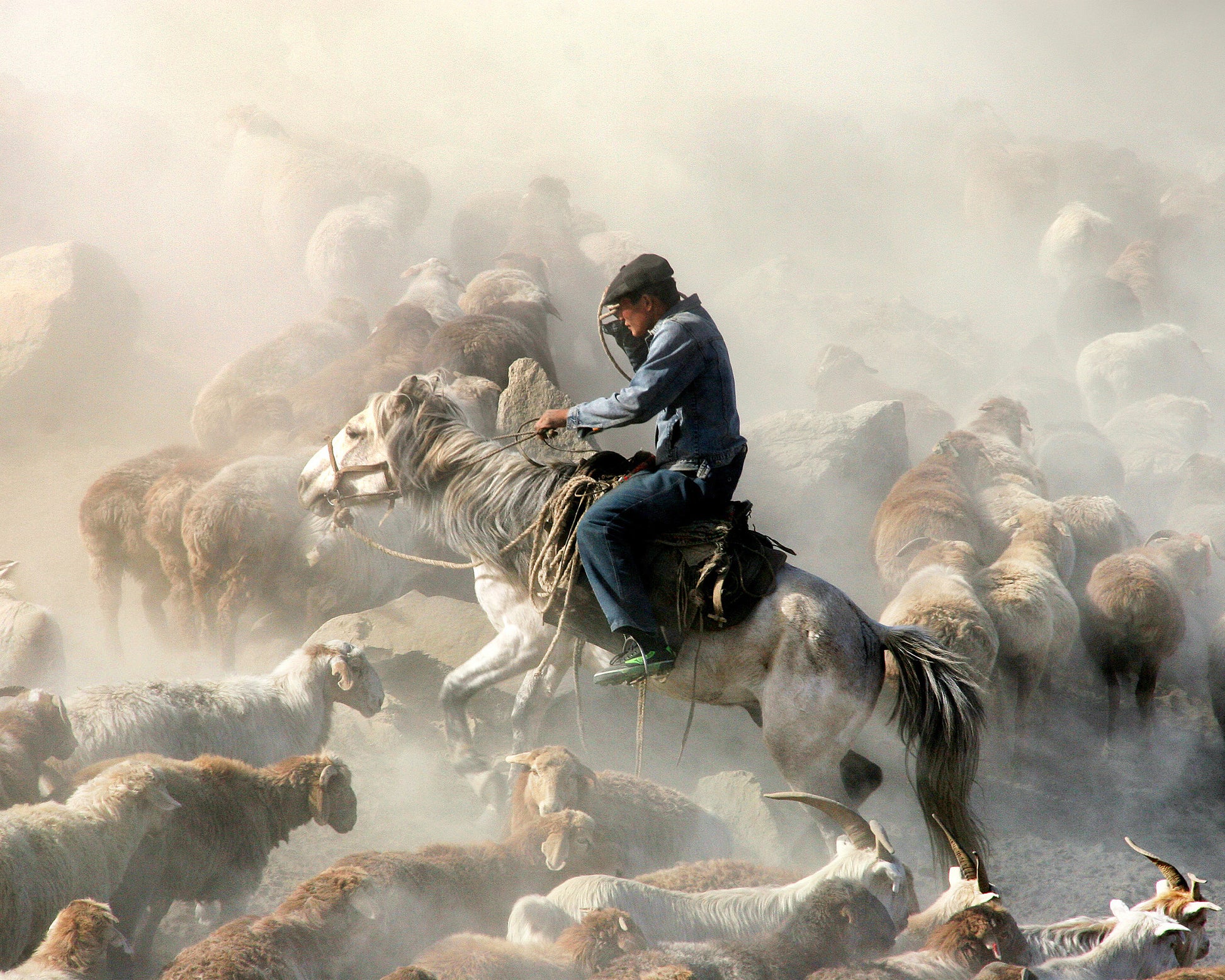 Migration