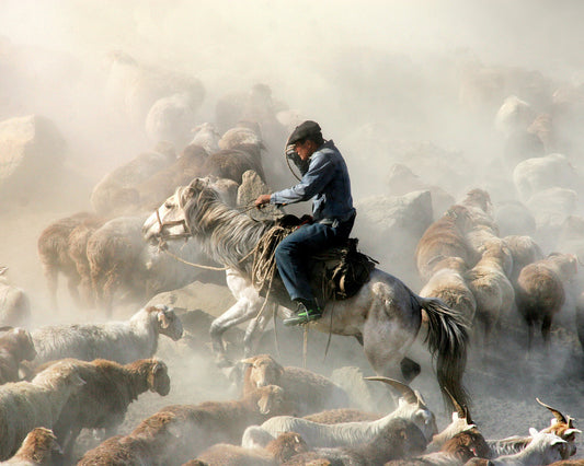 Migration