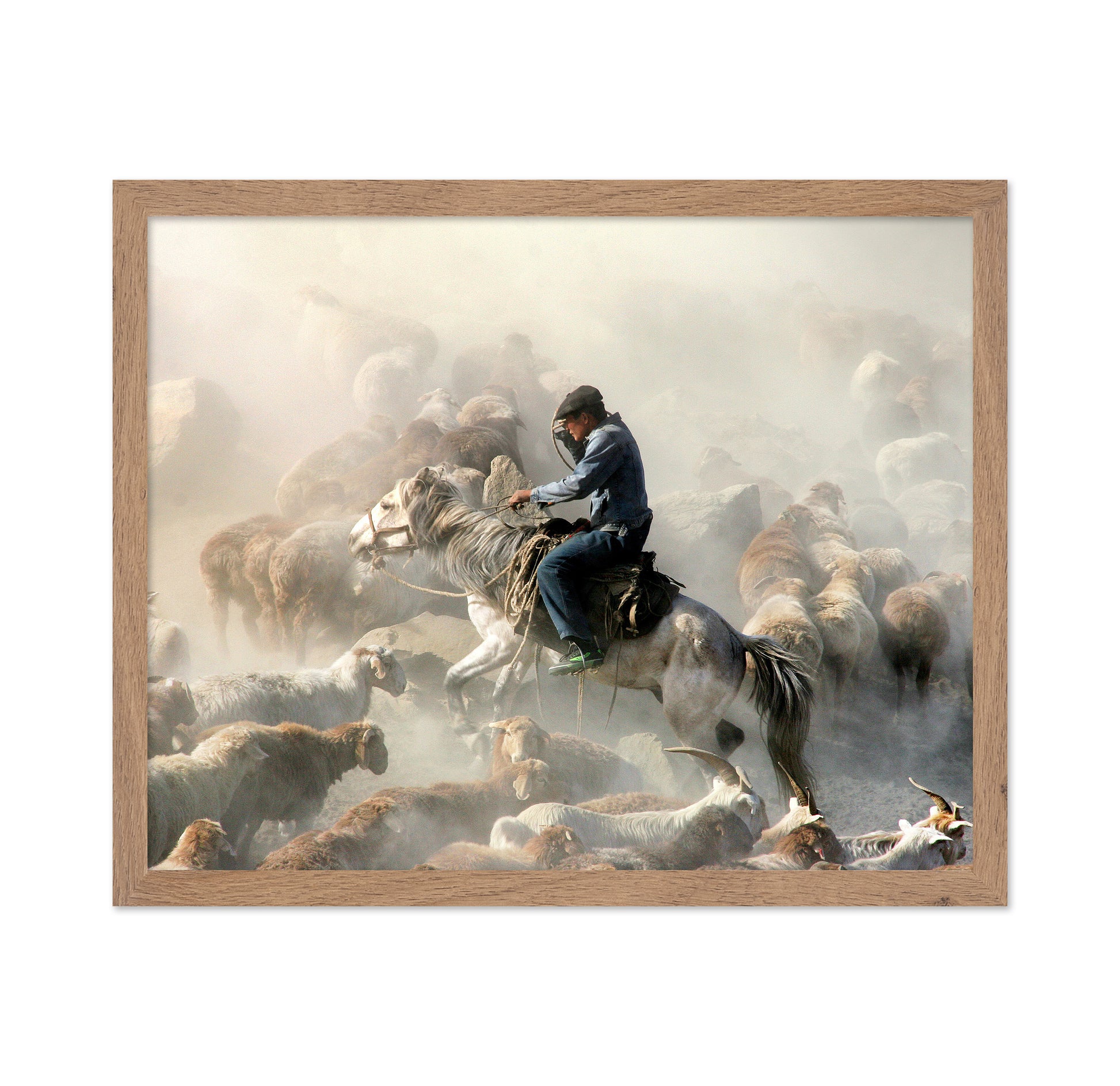 Migration