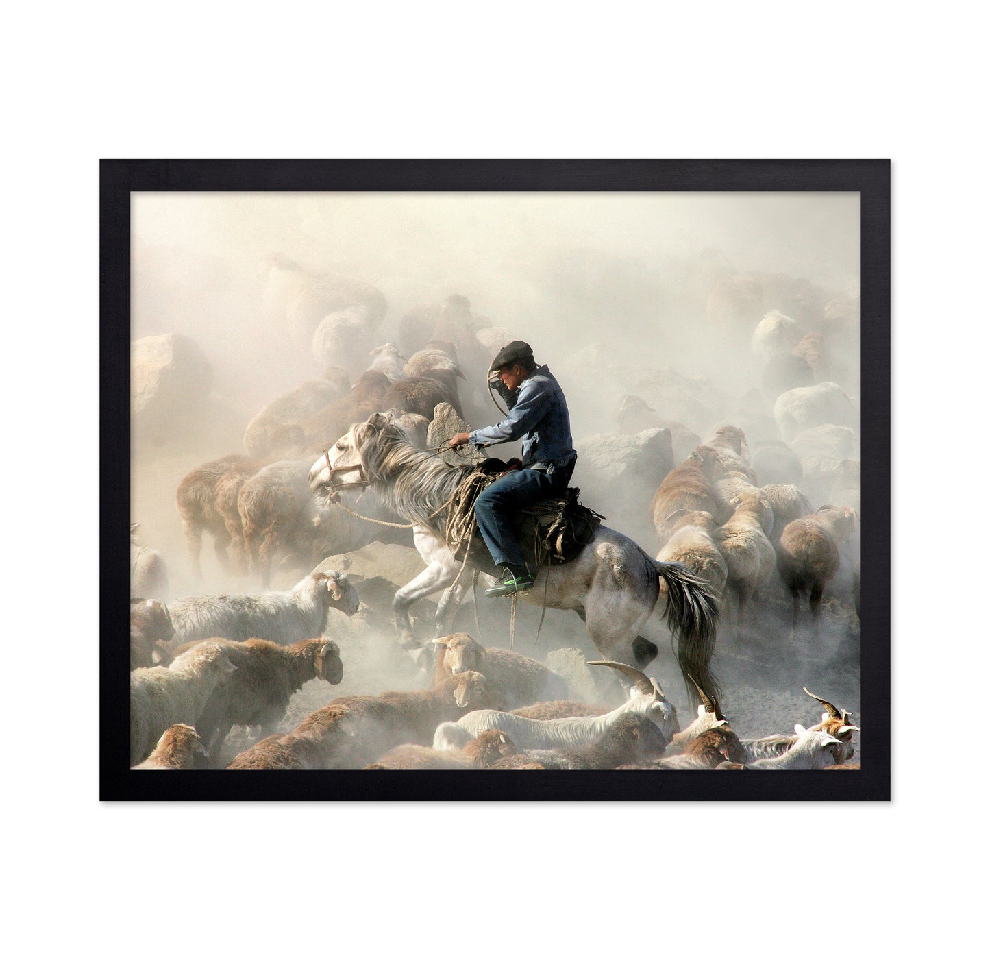 Migration