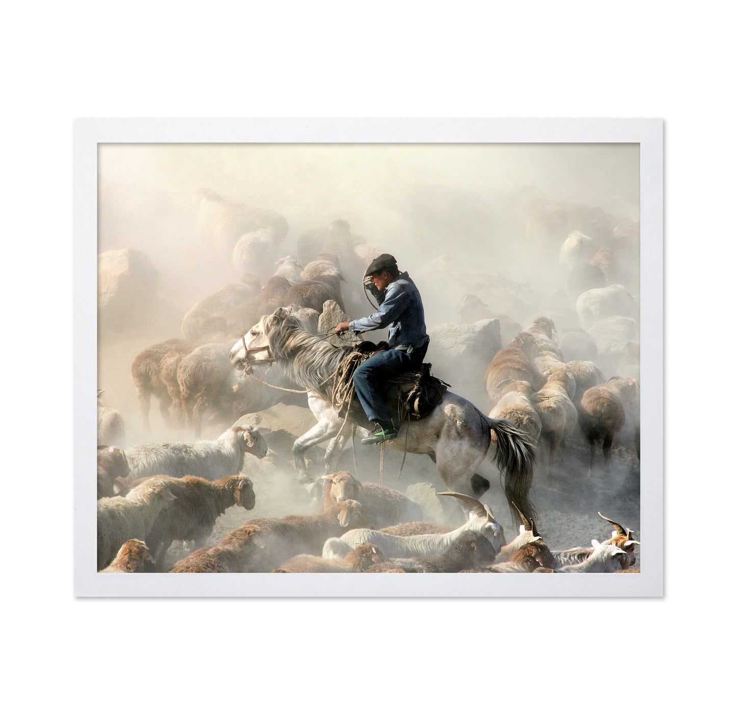 Migration