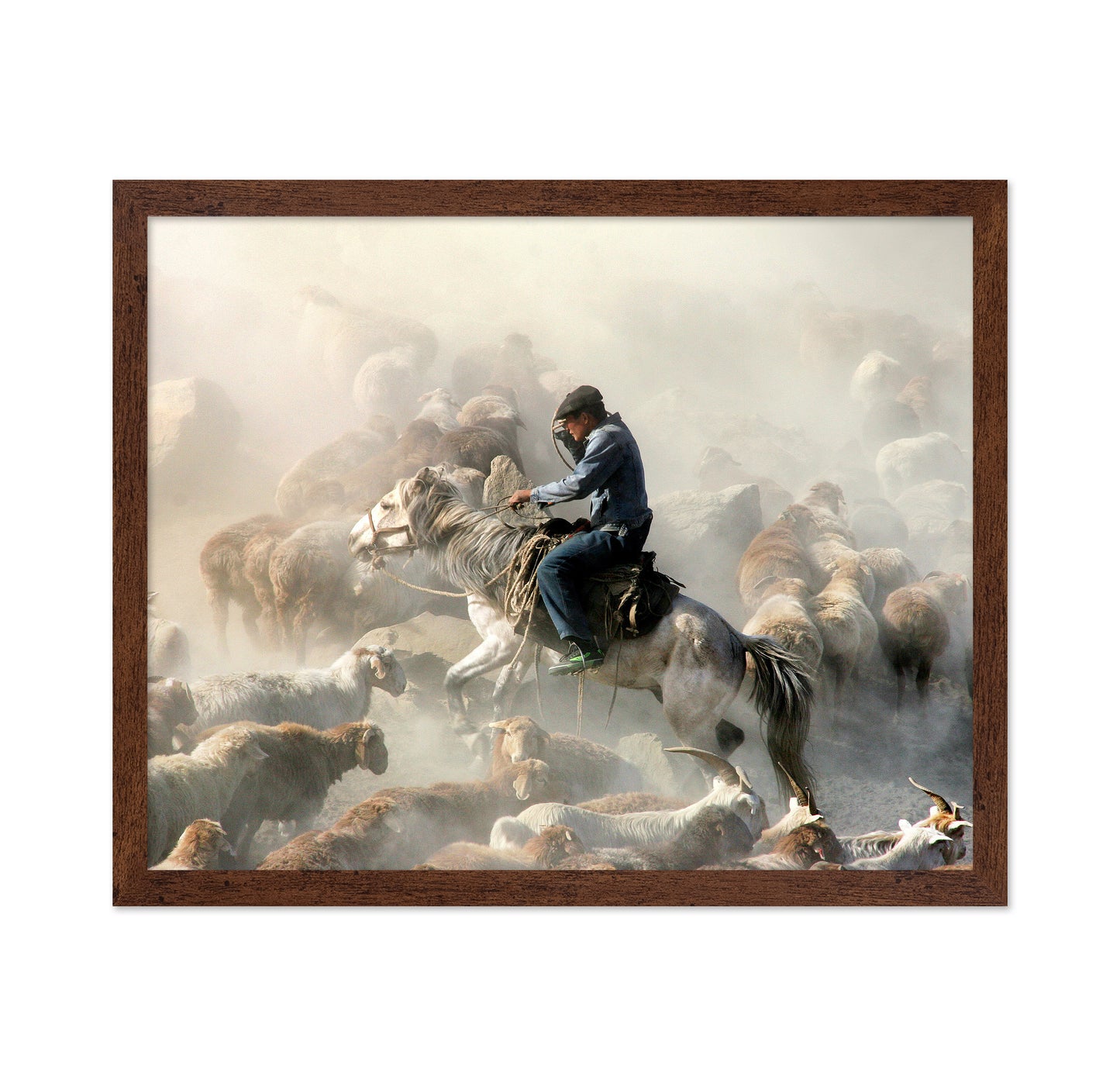 Migration