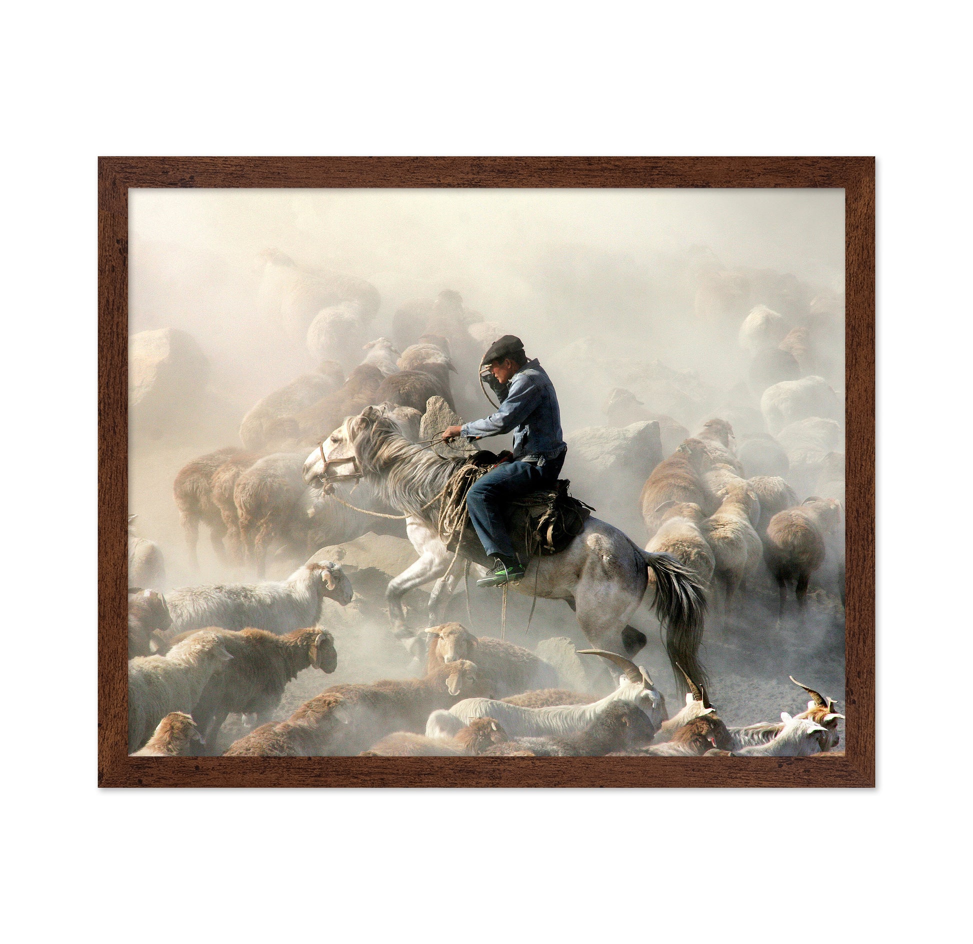 Migration