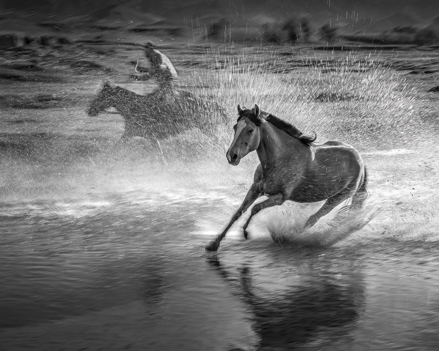 Running Horses