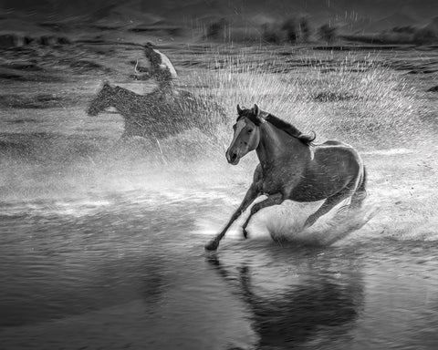 Running Horses