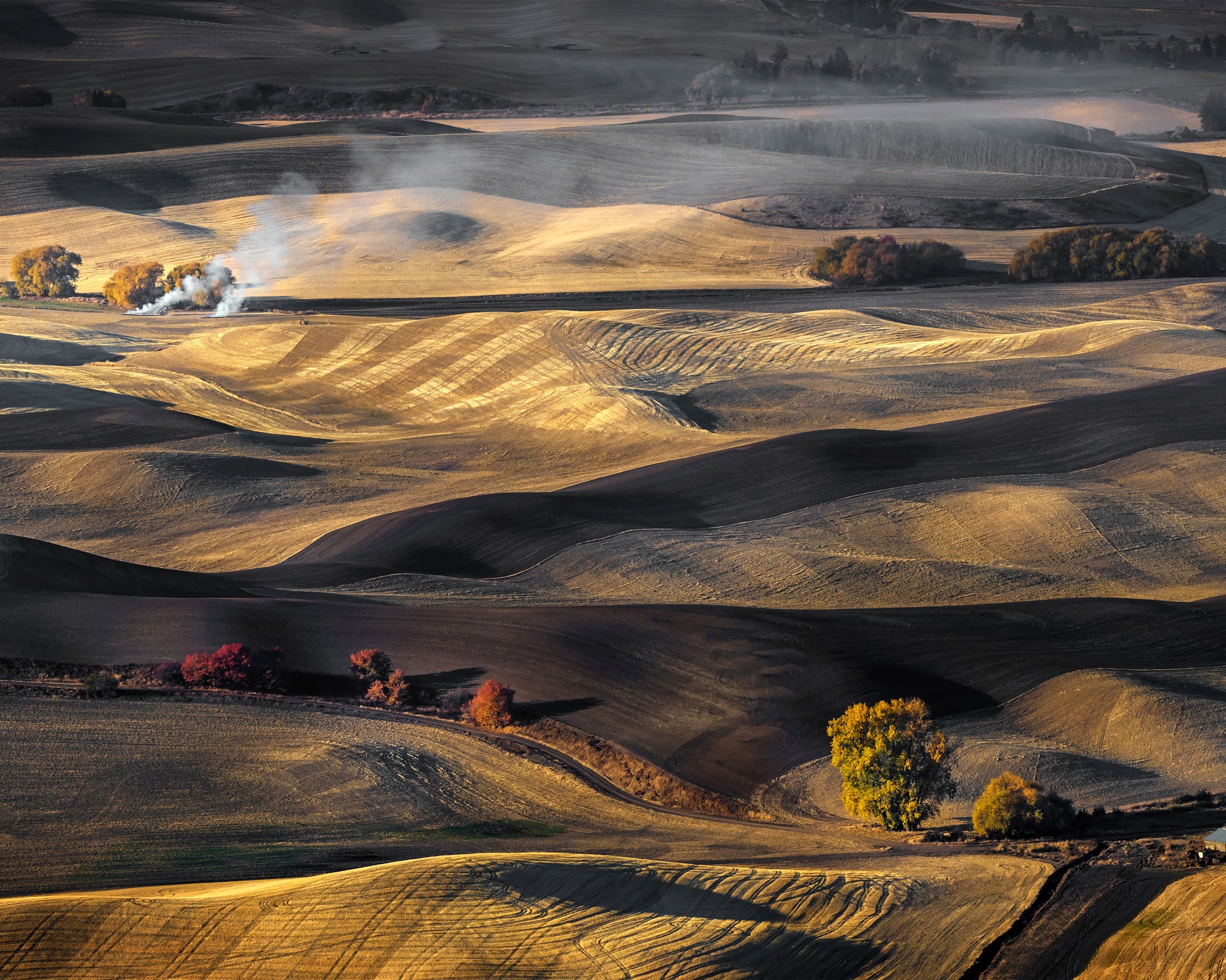 Autumn in the Palouse