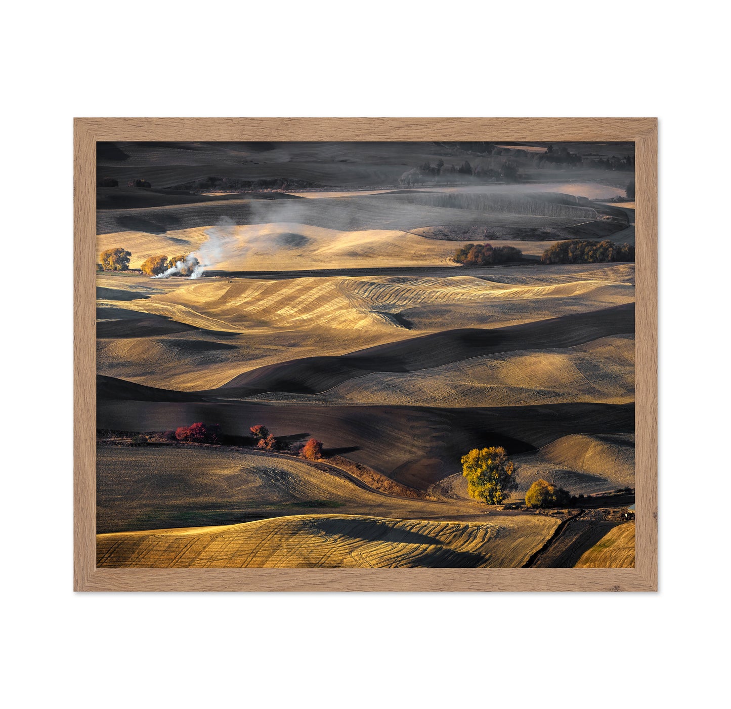 Autumn in the Palouse