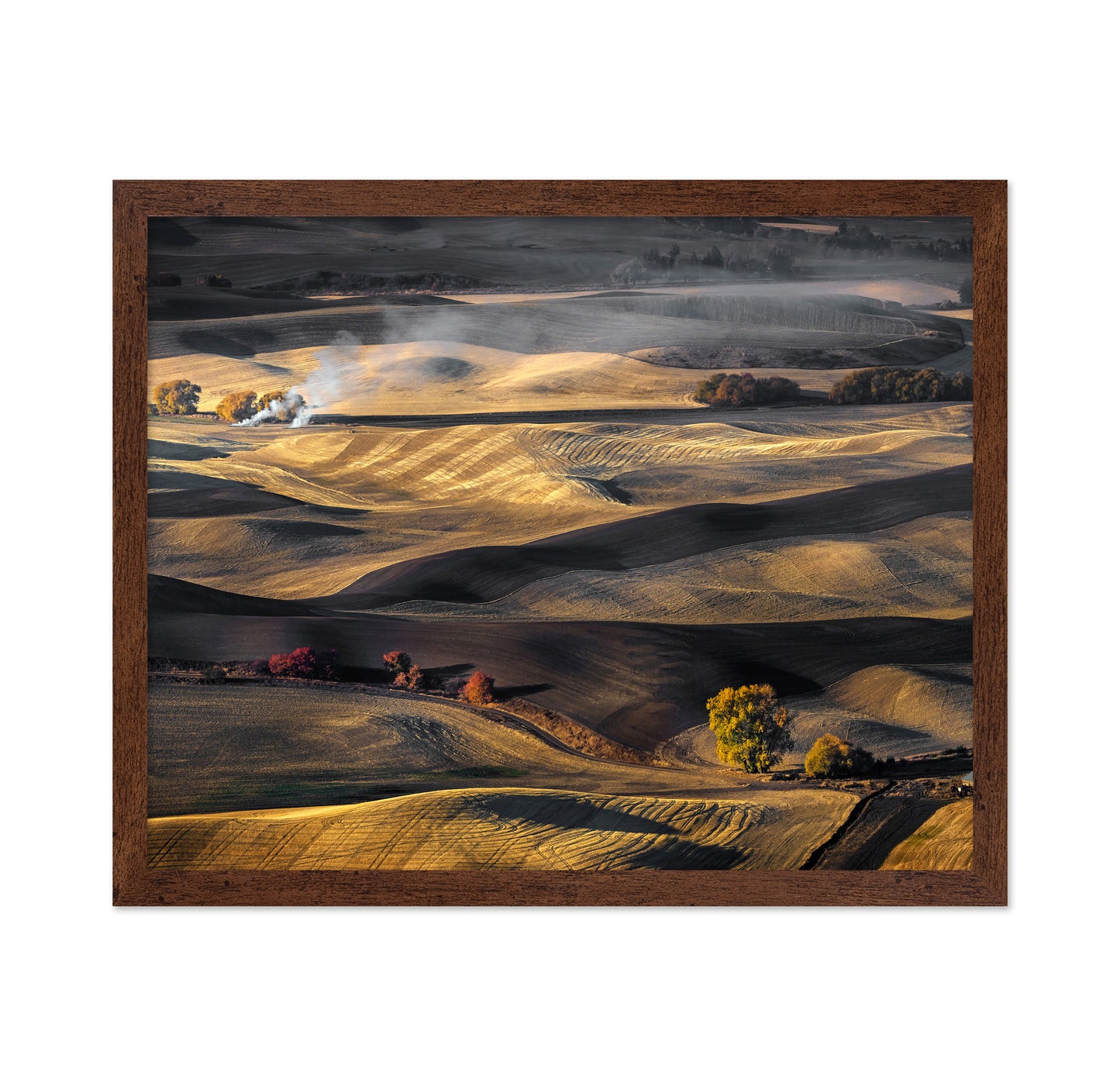 Autumn in the Palouse