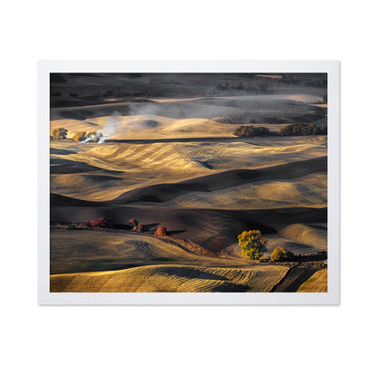 Autumn in the Palouse