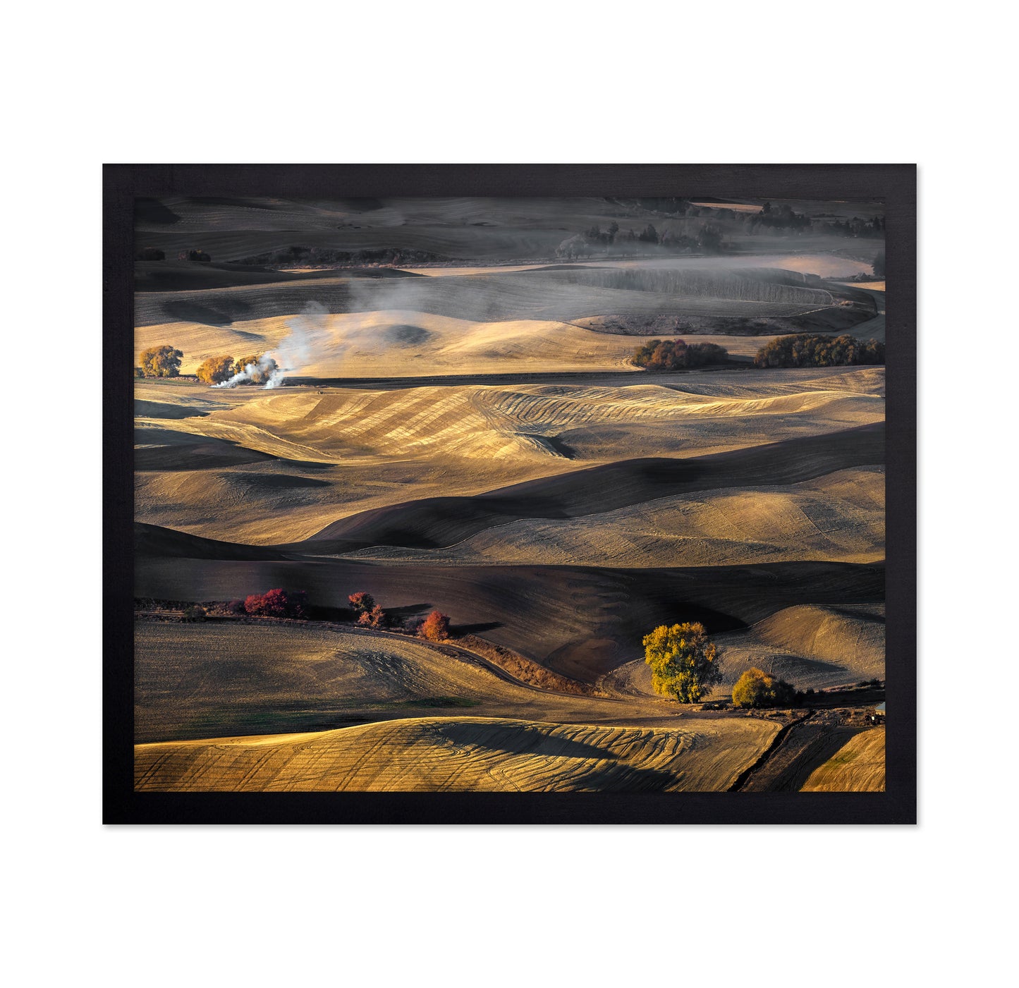 Autumn in the Palouse
