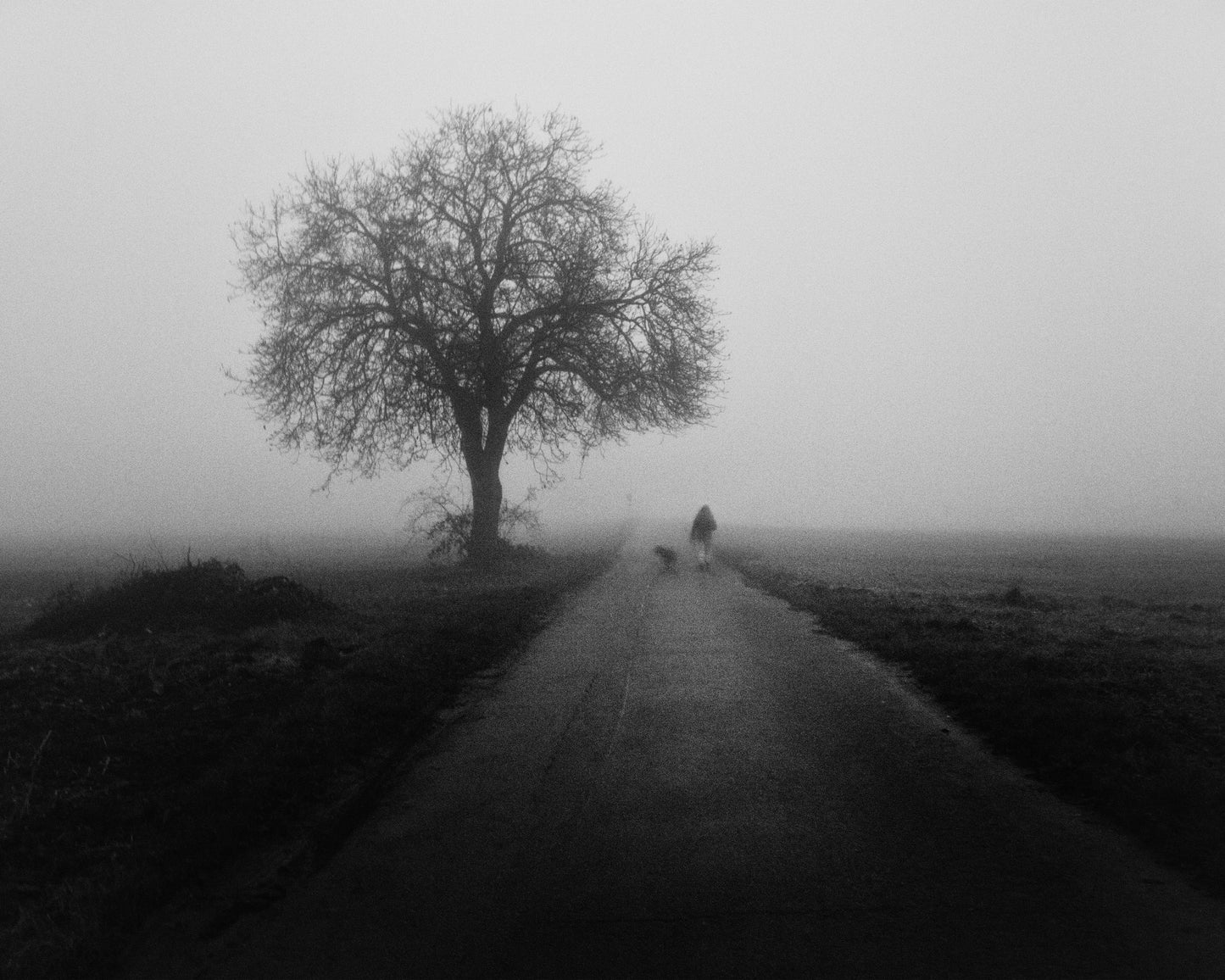 Lonley Walk